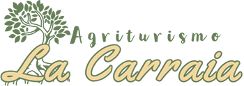 Chi siamo-Agritursimo La Carraia